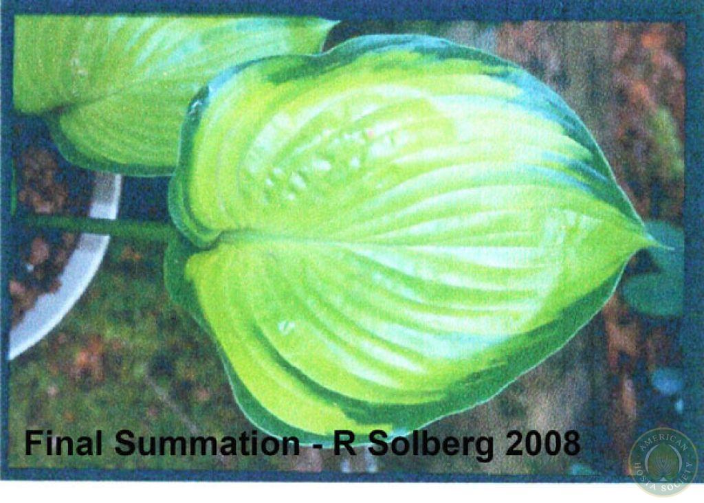 Hosta Registration - American Hosta Society